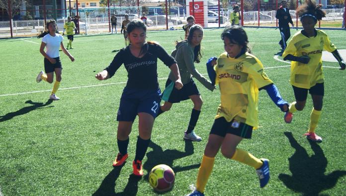 Delfines golea a Deportivo Salinas