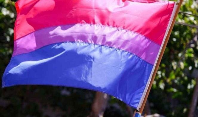 Hoy es Día de la Bisexualidad ¿Qué significa su bandera?