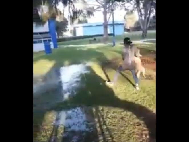 COBERTURA COMPLETA   FOTOGALERÍA   VIDEOS Alumno de Chapingo maltrata a un perro; lo graban