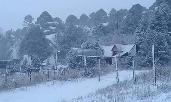 En ‘Fin de Año’ se congelan en BC, Sonora, Chihuahua y Durango