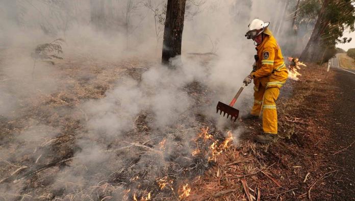 El mundo se une para salvar a animales de Australia