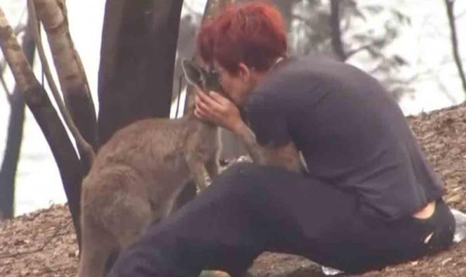 Mujer australiana se derrumba al perder su refugio de canguros