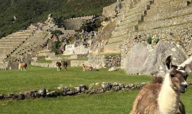 Detenidos seis turistas por causar daños en Machu Picchu