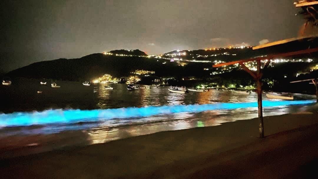 La naturaleza, haciendo de las suyas, llena de bioluminiscencia playas de Acapulco