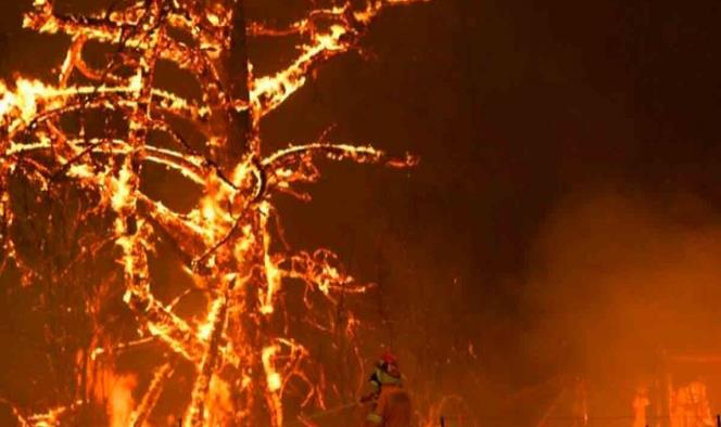 Australia anuncia una investigación federal sobre incendios forestales