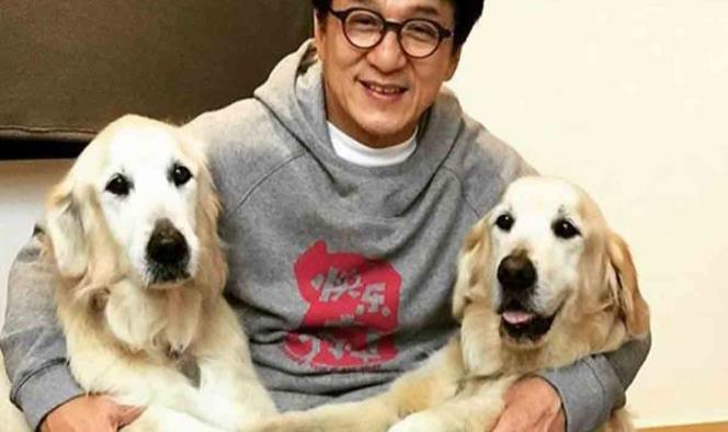 ¿Jackie Chan tiene coronavirus?, ¿Está en cuarentena?