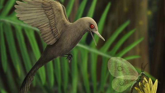 Hallan dinosaurio similar a colibrí, ¿el más pequeño de la historia?