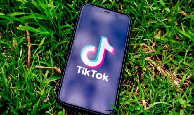 Prohíben TikTok en India para garantizar la seguridad de los ciudadanos
