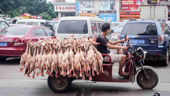 Sigue operando sin medidas sanitarias mercado de Wuhan