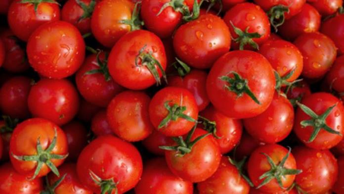 Profeco: Revela marcas de puré de tomate con más conservadores y azúcar