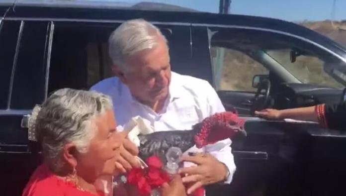 AMLO indulta a pavo que le regalaron en Oaxaca