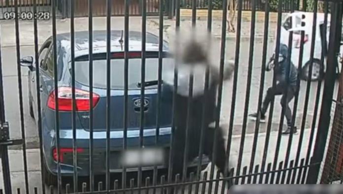 Intentan asaltar a una mujer; ella era policía y enfrentó a los ladrones (VIDEO)