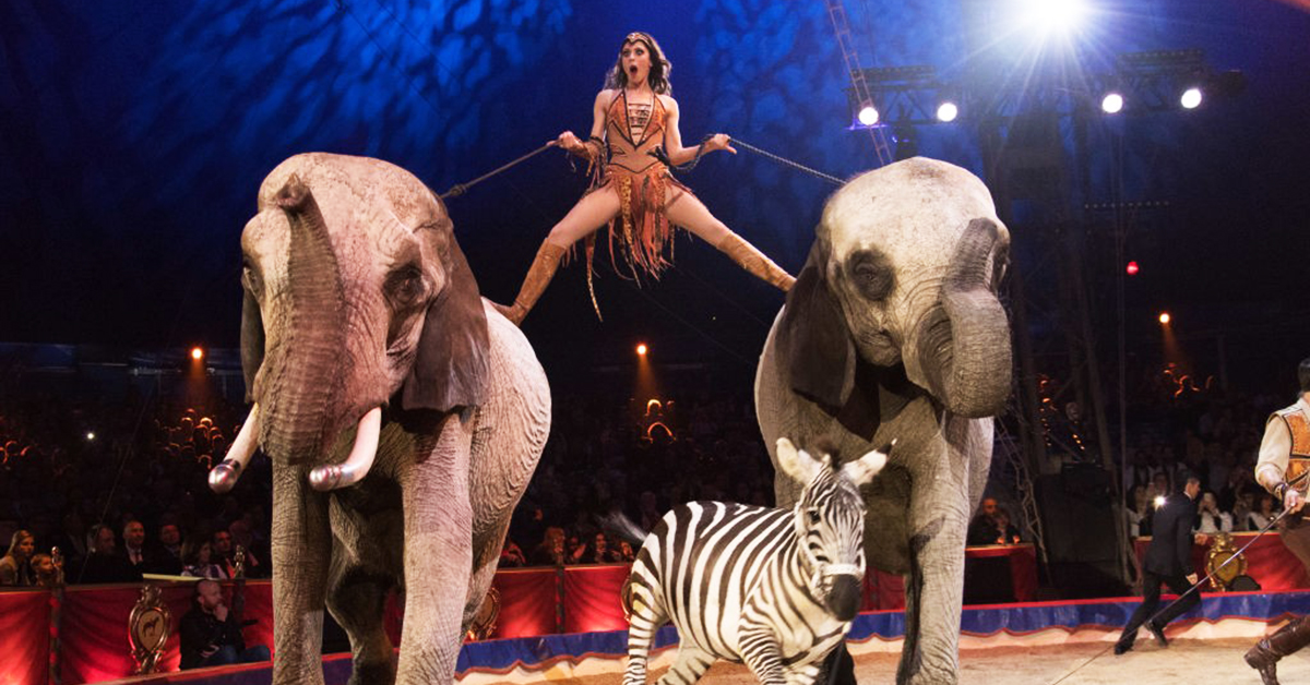 Que animales vuelvan al circo: Guadiana