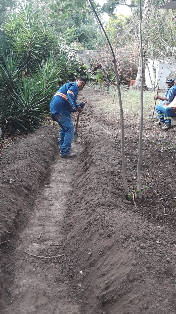 Avanza 90% limpieza en la Saca San Buena