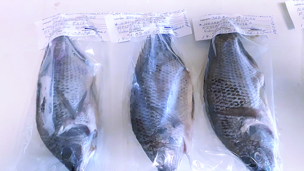 Inspecciona Salud  venta de pescado