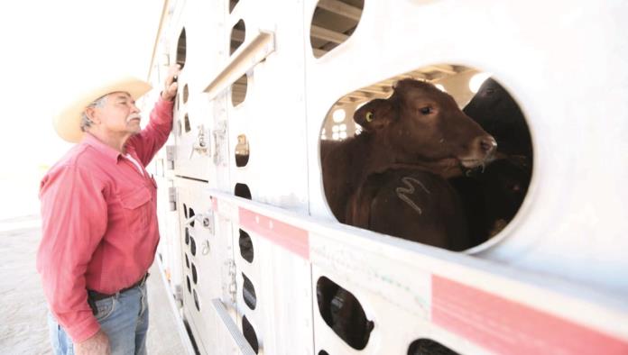 Trabajan por elevar  estatus zoosanitario