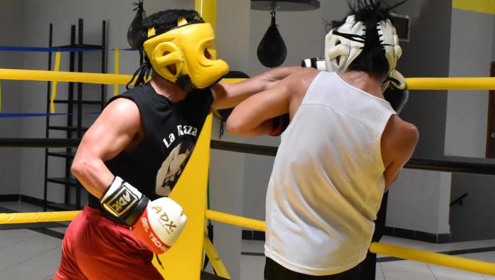 Pugilistas del Knock Out Boxing van por cinturón