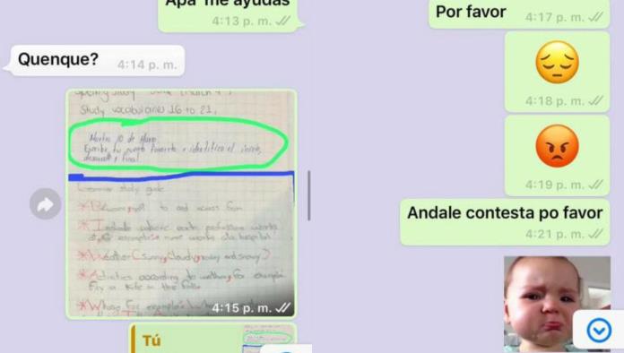 Niña pide ayuda se su papá para hacer la tarea y este fue el resultado