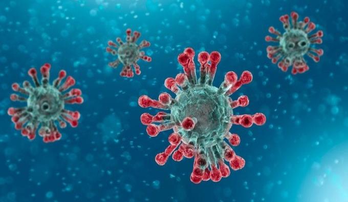 Coronavirus: Científicos descubren que el COVID-19 puede sobrevivir a más de 60 grados Celsius