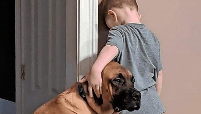Perrito acompaña a niño durante su castigo
