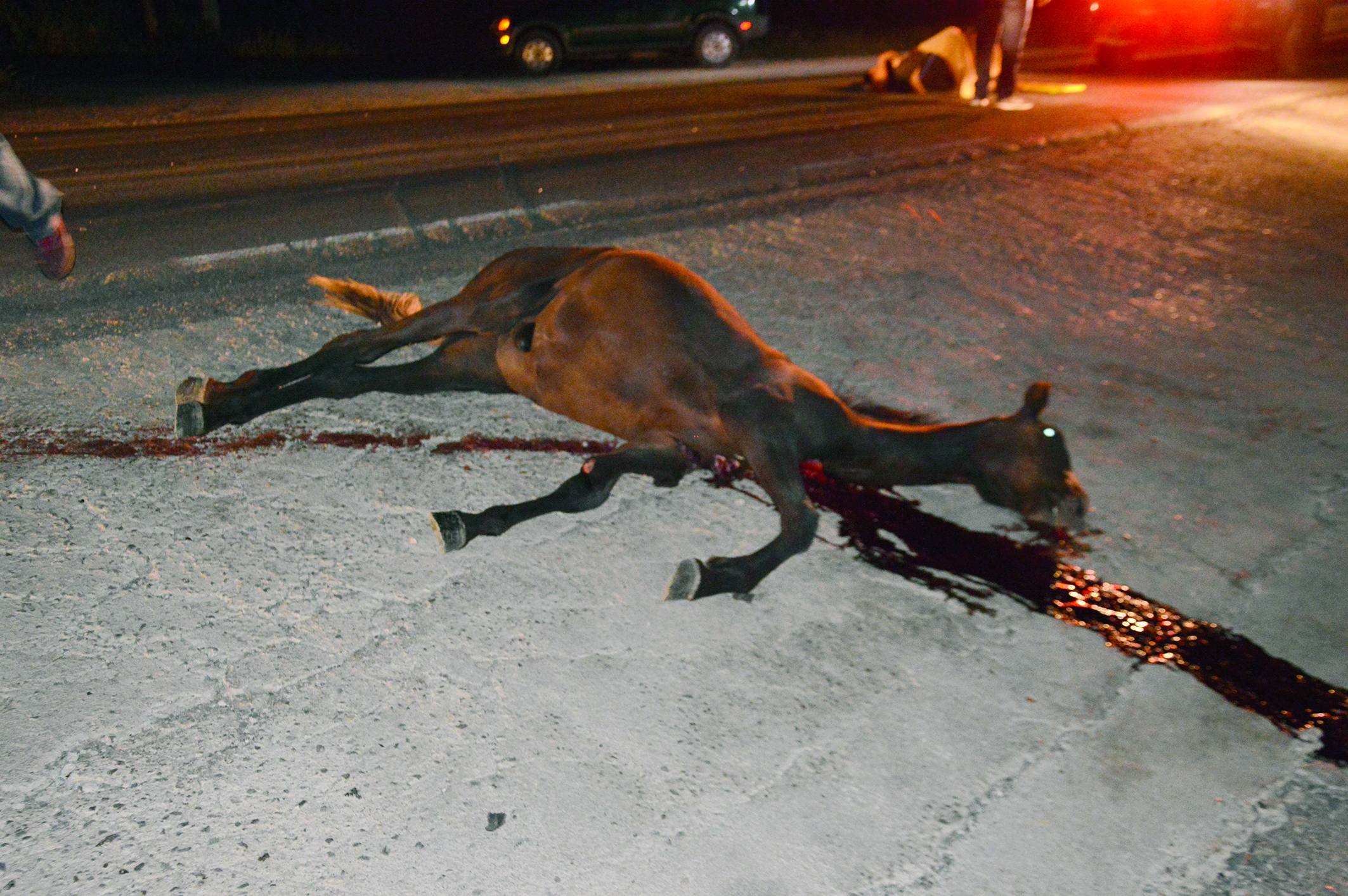 Impacta caballo con motocicleta