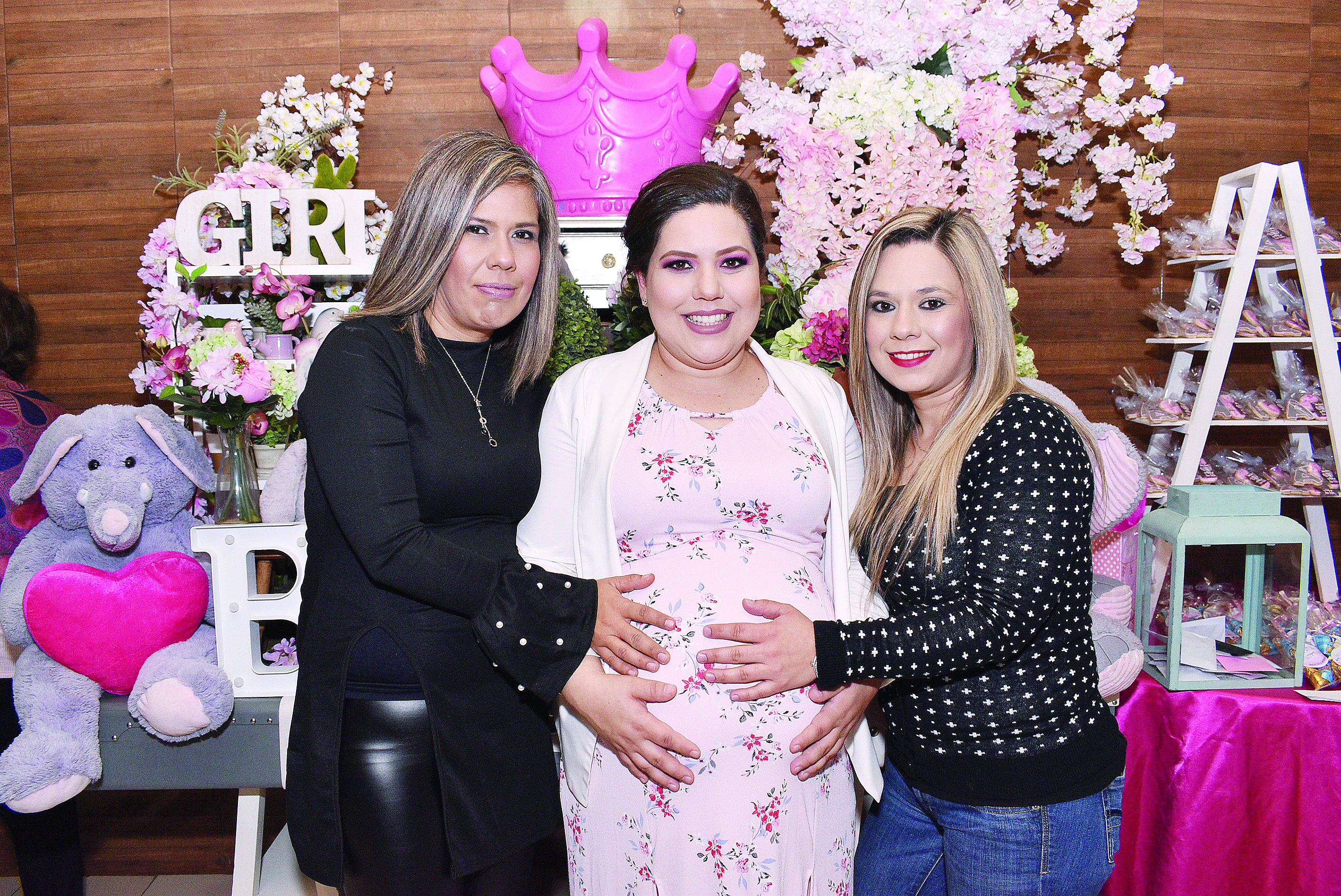 Ana Cecilia recibe elegante baby shower
