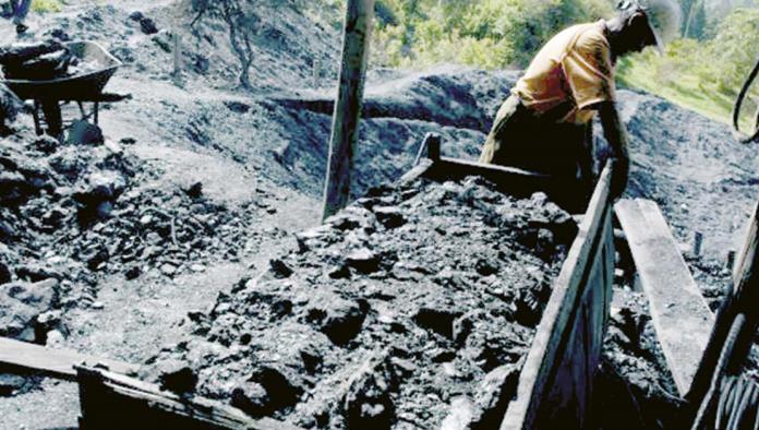 Surtirán carbón 32 productores