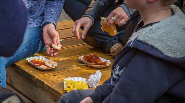 No vamos a aumentar impuestos a comida chatarra, pero atacaremos obesidad: AMLO