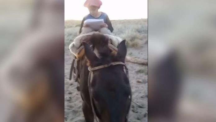 Niño viaja en caballo hasta un cerro para poder conectarse a Internet y entregar su tarea