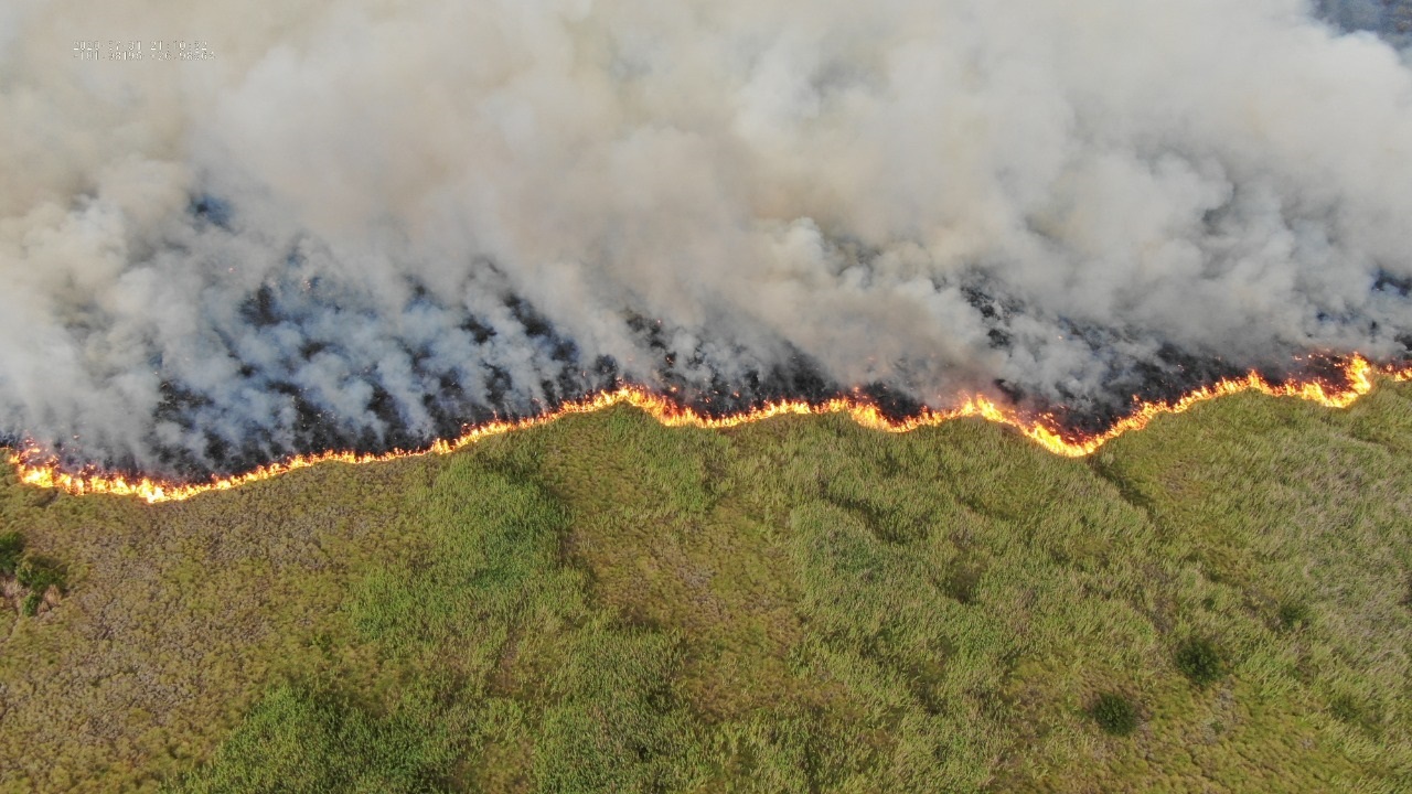 Controlan incendio en Ciénegas