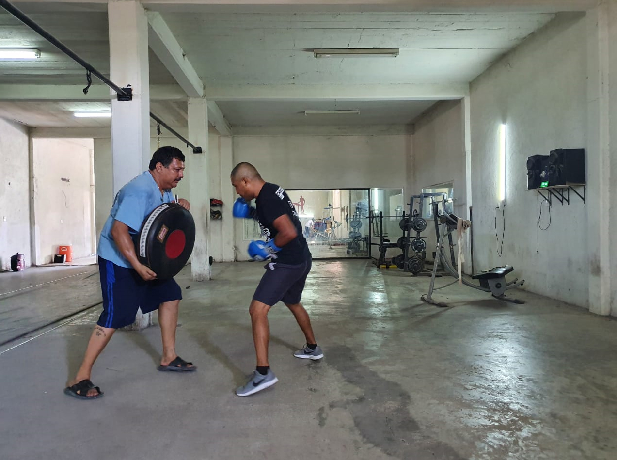 “Taz” sigue entrenando