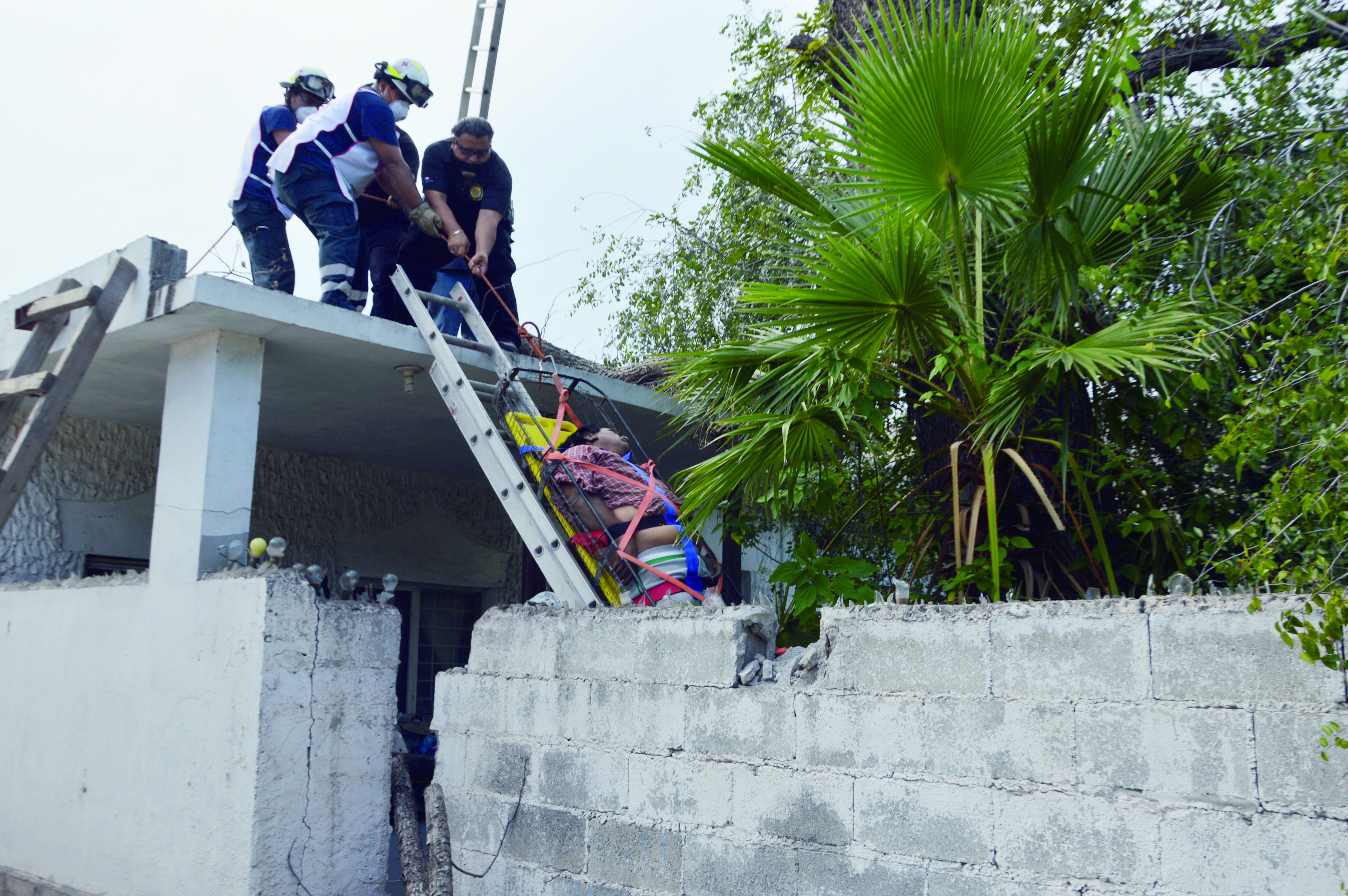 ¡Poda fatal! Se mató jardinero