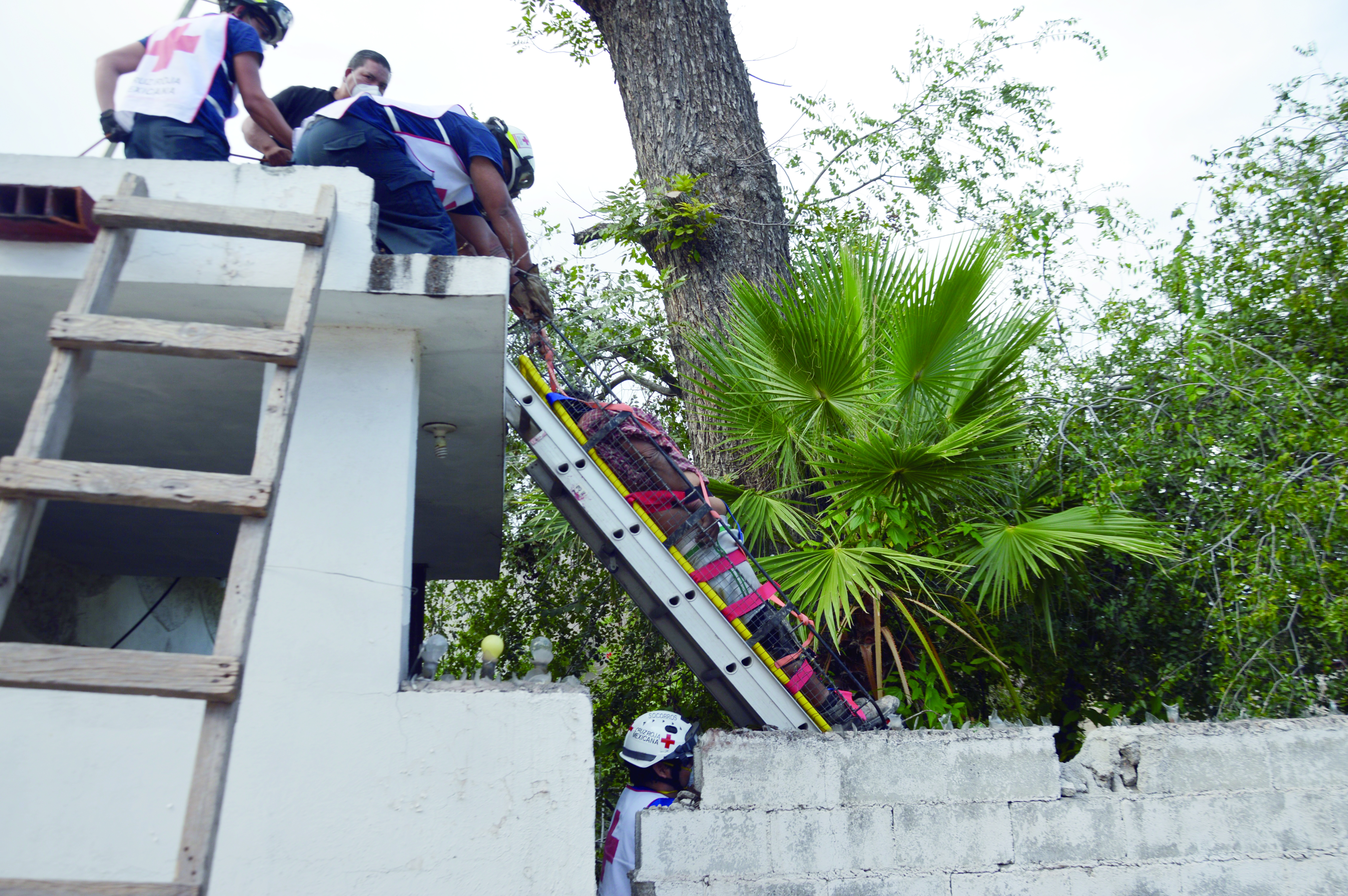 ¡Poda fatal! Se mató jardinero