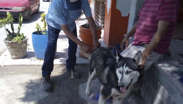 Llevan vacunación a la “Solidaridad”