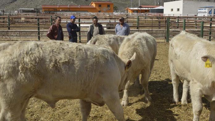 Reparten recursos a productores rurales