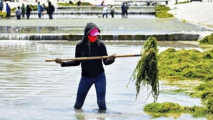 Avanza obra de Río Monclova