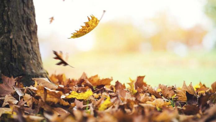 ¿Qué es y cuándo inicia el equinoccio de otoño?