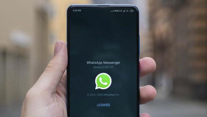 Ya no sufras, Whatsapp permitiría encontrar más rápido los stickers