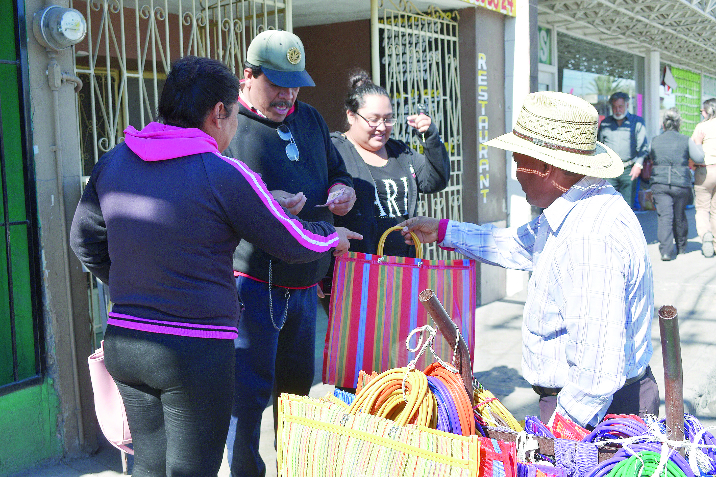 Ecología y nostalgia