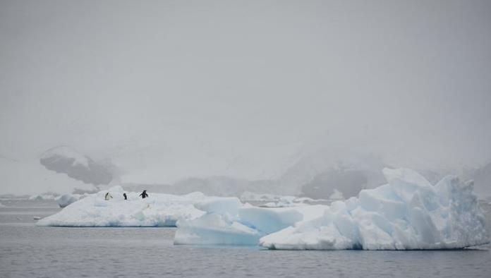 El iceberg más grande del mundo está en camino a estrellarse con una isla del Atlántico Sur