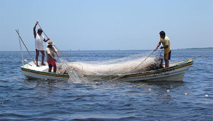 Baja en la Amistad producción pesquera