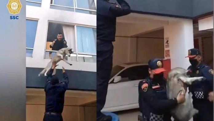 ¡Héroe sin capa! Policías rescatan a un perrito de un incendio