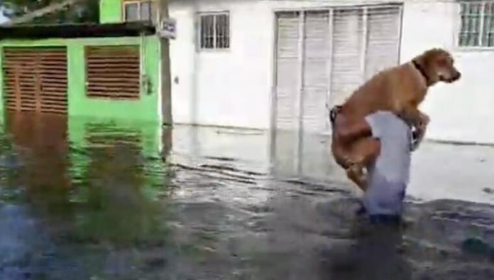 VIDEO: Rescata de inundación en Tabasco a su perro