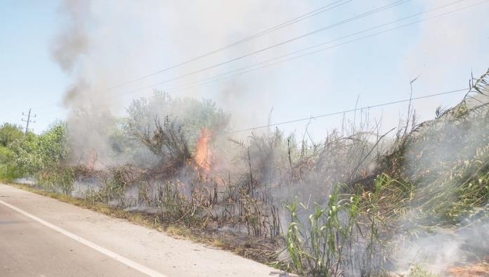 Obligan a agricultores a quemas controladas