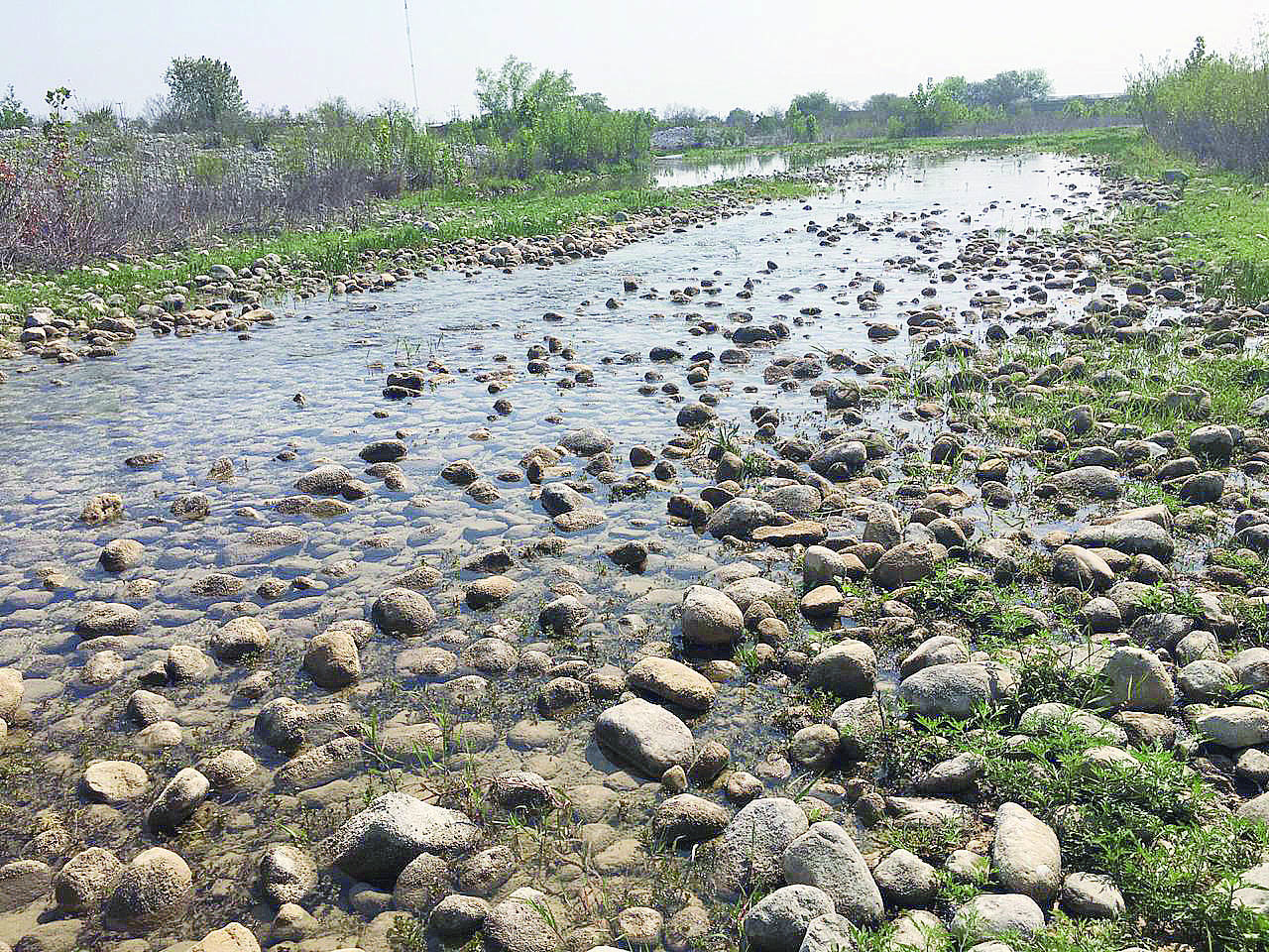 Pega sequía al  cauce de ríos