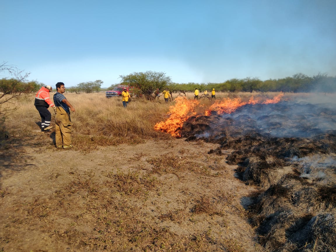 Consume fuego 65  hectáreas de pasto