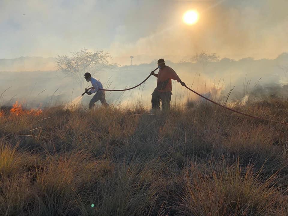 Consume fuego 65  hectáreas de pasto