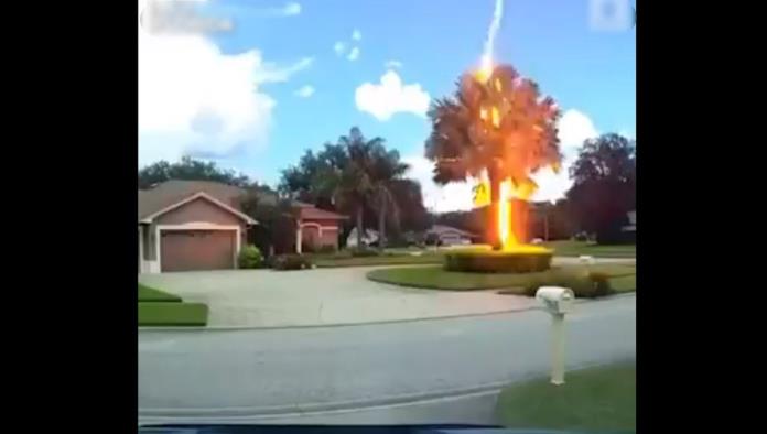 En un día soleado y sin lluvia, rayo impacta a palmera (VIDEO)