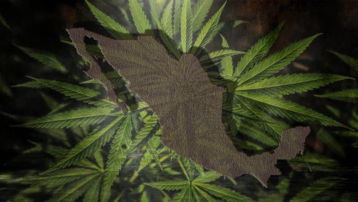 Senado en México aprobó en lo general la regulación y despenalización del uso lúdico de la marihuana en todo el país