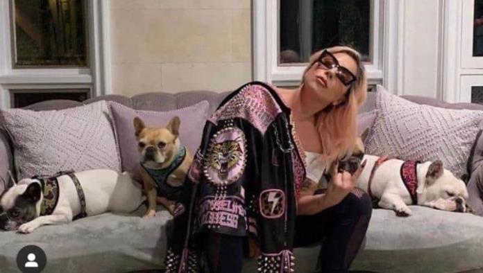 Policía arresta a 5 implicados en el secuestro de los perros de Lady Gaga